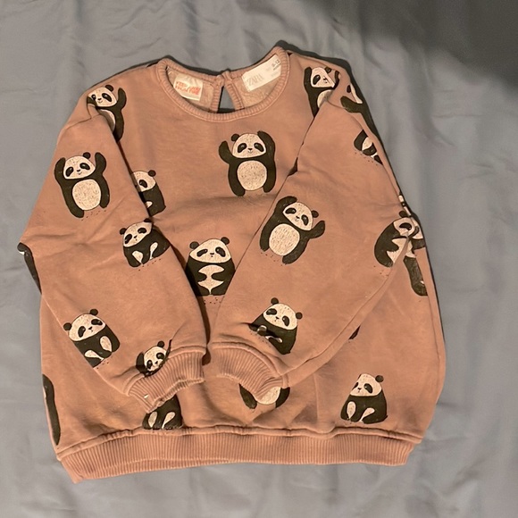 Zara Other - Zara Panda Sweater